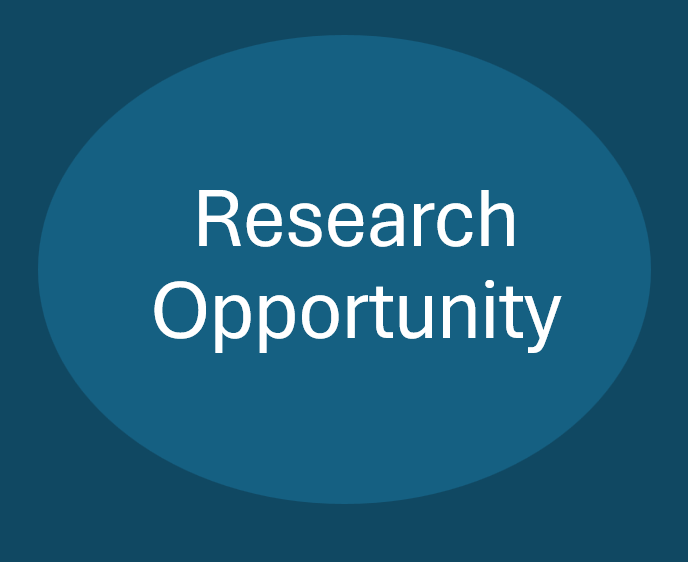 Research Opportunity - Investigating Colonial Port Development